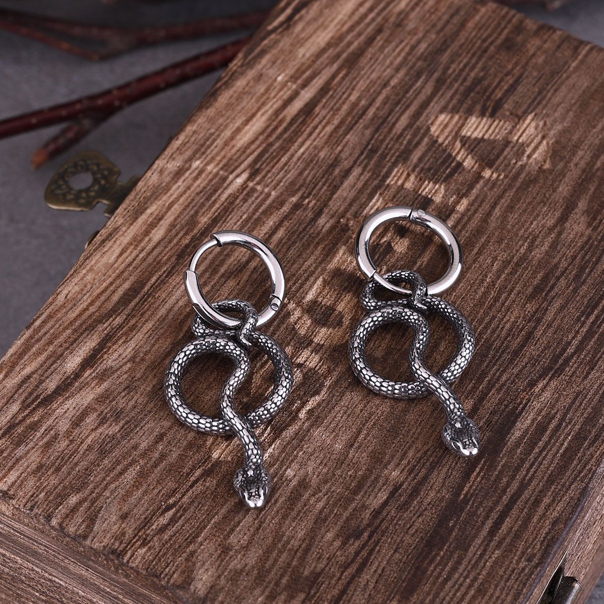 Stainless Steel Twisted Snake Dangle Hoop Earrings