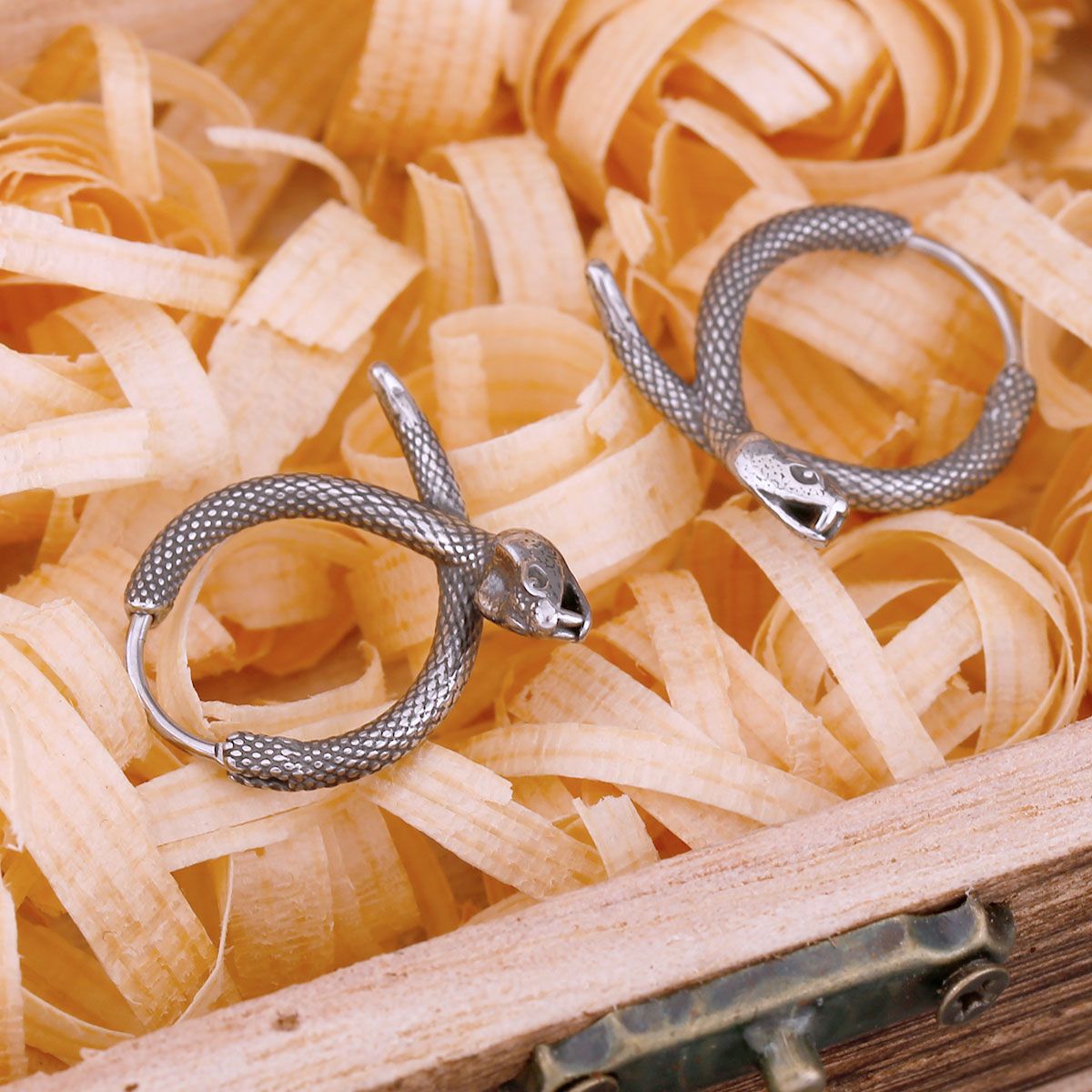 Viking Coiled Snake Hoop Earrings in Stainless Steel
