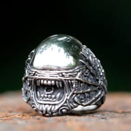 Side profile displaying ribbed biomechanical band details on stainless steel skull ring