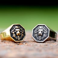 The bold stainless steel lion head ring positioned on a weathered, dark background for contrast.