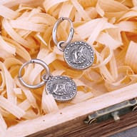 Front view of the 316L stainless steel Viking compass and eagle head dangle earrings for men.