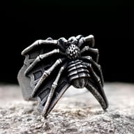 Detailed view of the spider's body and textured legs on a stainless steel gothic ring.