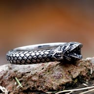 Close-up of the intricately carved dragon head on the stainless steel ring.