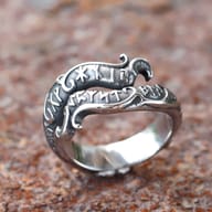 Top-down view of the 316L stainless steel ring, clearly showing the full runic inscription and its two-layer design.