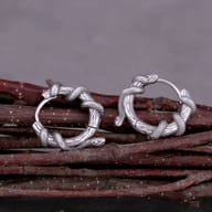 Pair of stainless steel winding snake hoop earrings resting on dark twigs