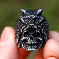 Overhead view of the polished 316L stainless steel skull and wolf head ring, displaying the full breadth of the design.