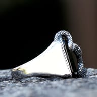Top-down perspective of the men's snake ring, showcasing the robust stainless steel setting and the prominent black stone.
