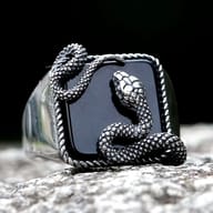 A polished stainless steel ring featuring a rectangular black stone with an oxidized silver snake coiled around it, details include textured scales and a rope-like border.