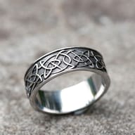 Angled shot of the 316L stainless steel ring, highlighting the detailed carved animal motif and brushed finish