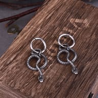 Pair of stainless steel twisted snake dangle hoop earrings resting on a rustic wooden box