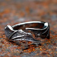 Inner band of the 316L stainless steel dragon wing ring, highlighting its smooth, polished finish.