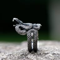 316L stainless steel snake ring resting on a textured gray rock, showcasing the full design and polished inner band.