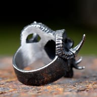 Side angle view of the gothic devil skull ring, highlighting the detailed texture and band.