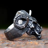 Frontal close-up showing the grimacing face and fangs of the 316L stainless steel skull ring.