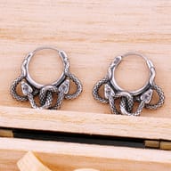 Detailed view of both 316L stainless steel snake hoop earrings, highlighting their intertwined serpent design from a side angle.