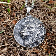 Robust 316L stainless steel Viking lion head pendant on dry grass