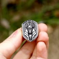 Top-down perspective highlighting the contoured shield design and textured background