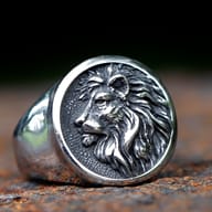 Detailed side profile of the lion's head on the 316L stainless steel ring.
