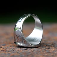 The durable 316L stainless steel ring featuring a prominent lion head design.