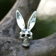 Front view of the polished 316L stainless steel skull rabbit ring resting on a tree branch